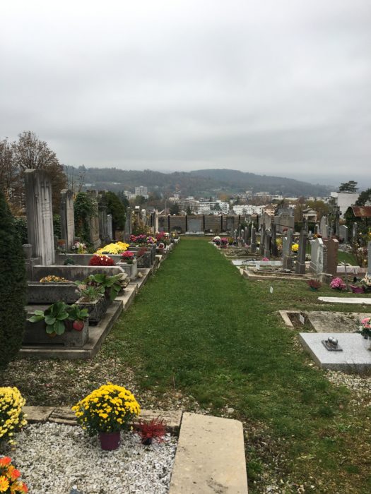 Engazonnement du cimetière