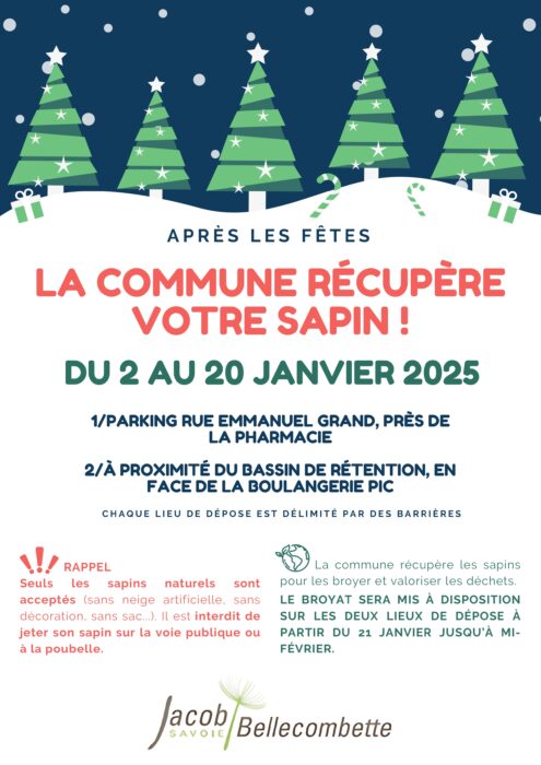 Collecte des sapins