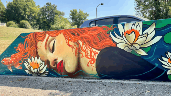 Deux nouvelles fresques de l’artiste Amok à Jacob-Bellecombette