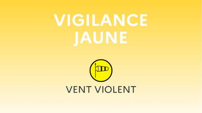 Vigilance jaune – Savoie : vent violent