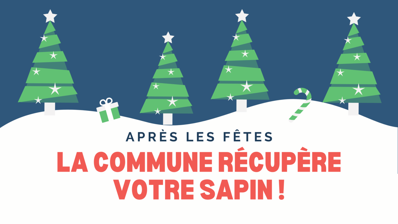 La commune récupère votre sapin après les fêtes