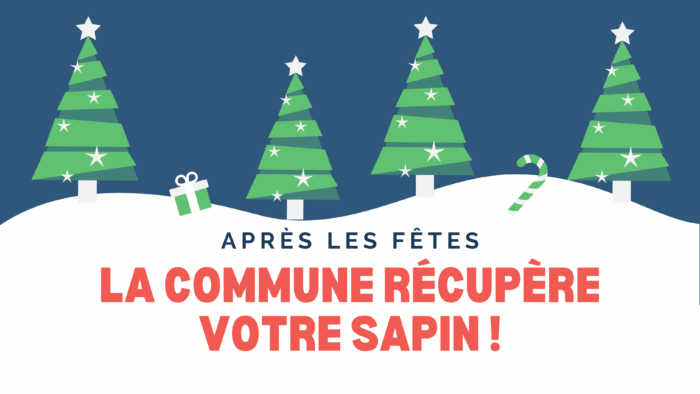 La commune récupère votre sapin après les fêtes
