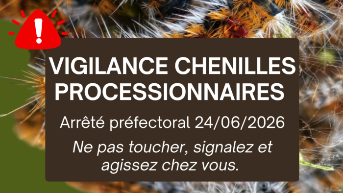Vigilance chenilles processionnaires en Savoie