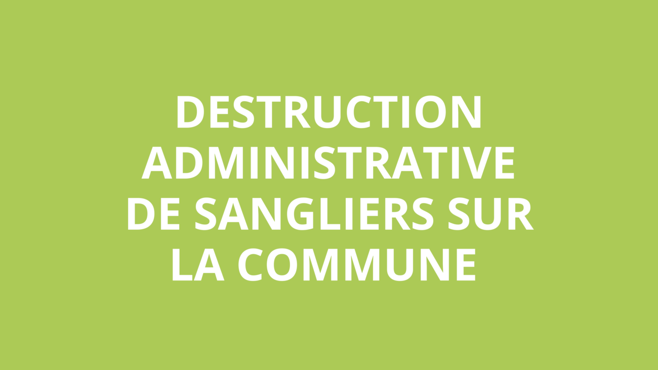 Information aux riverains : Régulation exceptionnelle des populations de sangliers sur la commune