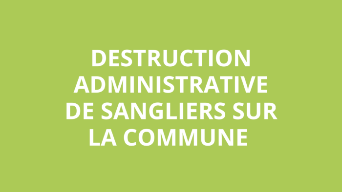 Information aux riverains : Régulation exceptionnelle des populations de sangliers sur la commune